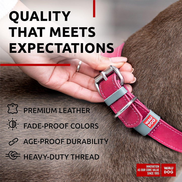 Pink Long Lasting Leather Dog Collar Adjustable for Medium Dogs 1215 Inch Neck