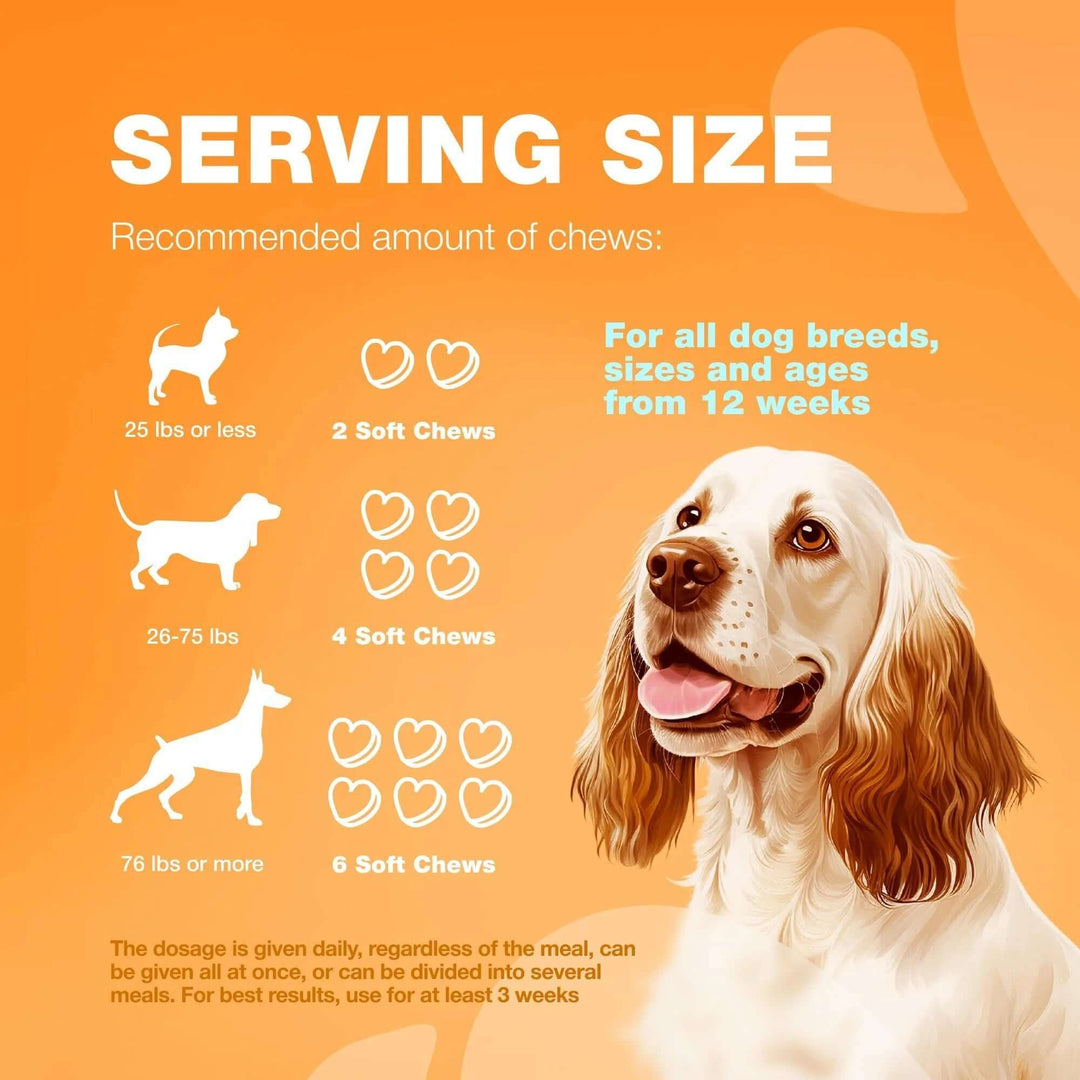 Dog Allergy Relief Chews Itch Relief for Dogs anti Itch Dog Allergy Chews US