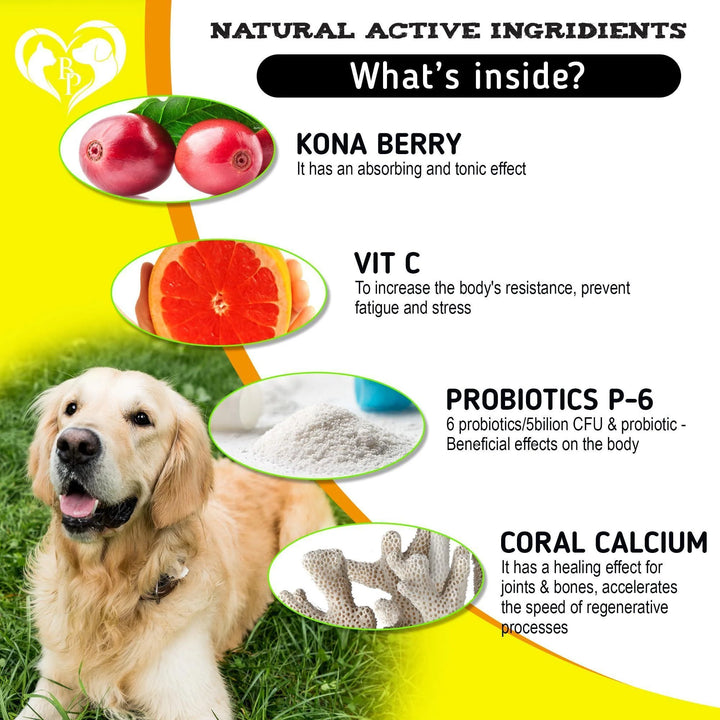 Dog anti Itch Allergy Relief Chews Dry Itchy Skin Hot Spot Treatment with Omega3