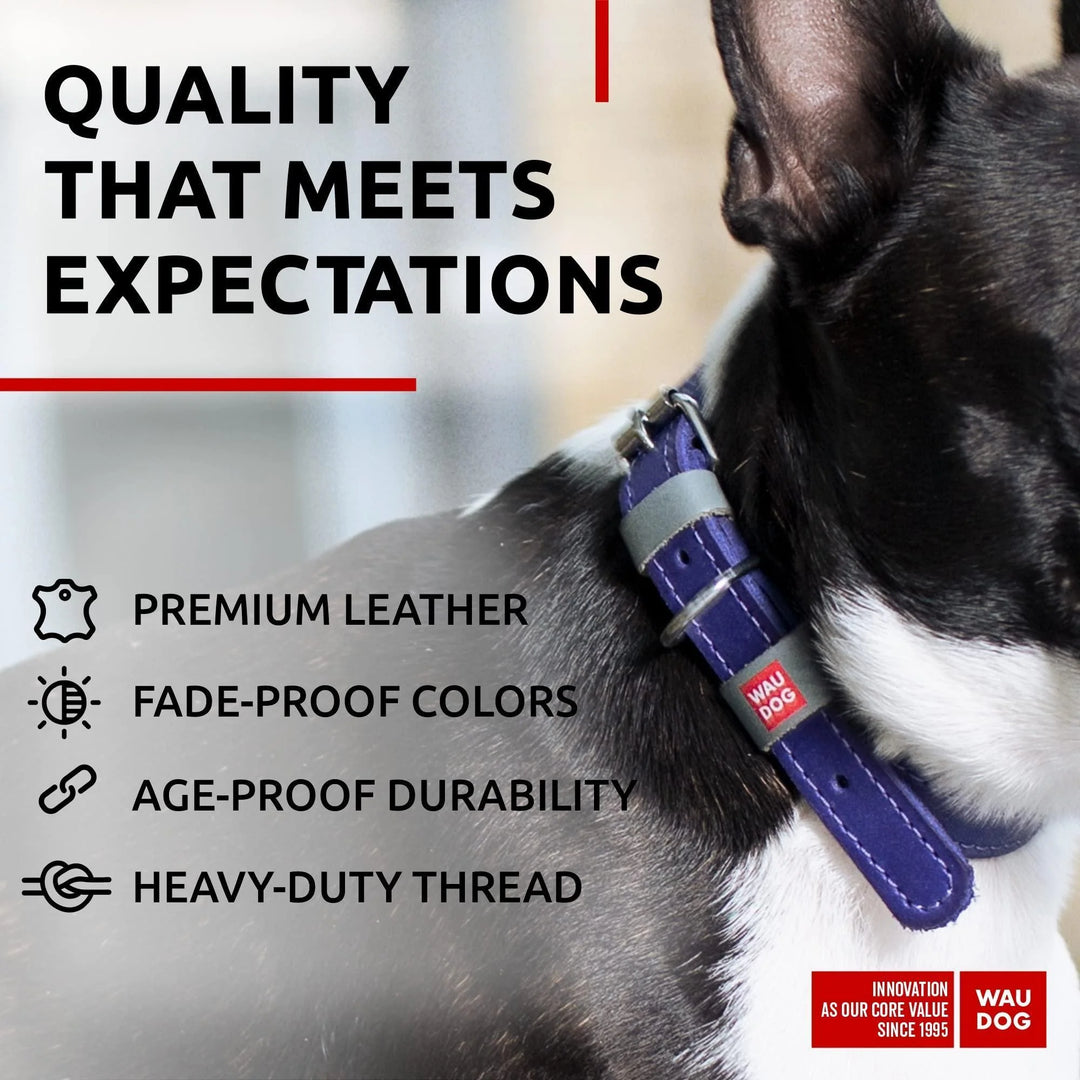 Purple Long Lasting Leather Dog Collar for Small Dogs 1114 Inch Neck Adjustable