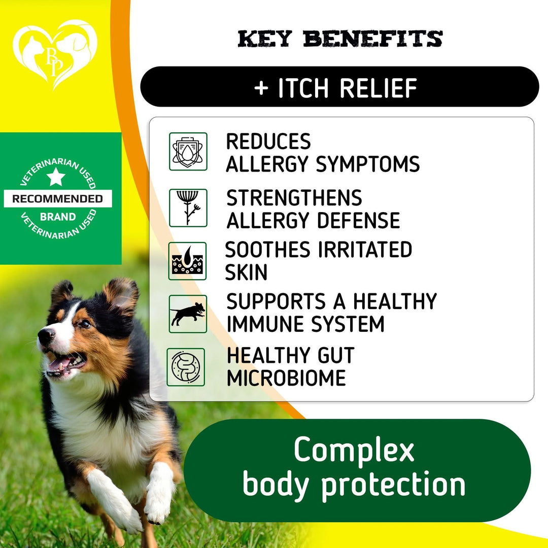 Dog anti Itch Allergy Relief Chews Dry Itchy Skin Hot Spot Treatment with Omega3