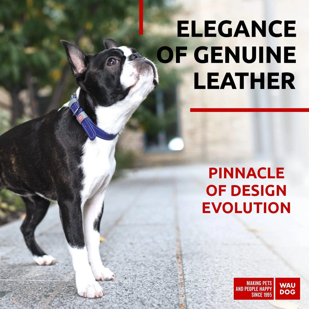 Purple Long Lasting Leather Dog Collar for Small Dogs 1114 Inch Neck Adjustable