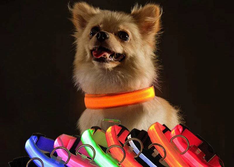 LED Adjustable Dog Collar Blinking Flashing Light up Glow Pets Safety Waterproof